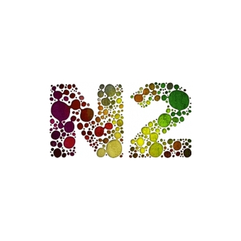 N2 Marketing Oy logo